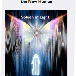Spleen of Light  - Gatekeeper Activation for the New Human. Protect your energy