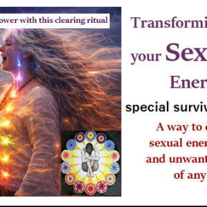 TRANSFORMING YOUR SEXUAL ENERGY FIELD - SPECIAL SURVIVORS VERSION