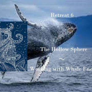 Retreat 6 The Hollow Sphere ~ Working with Whale Energy