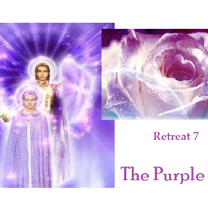 Retreat 7~ The Purple Rose