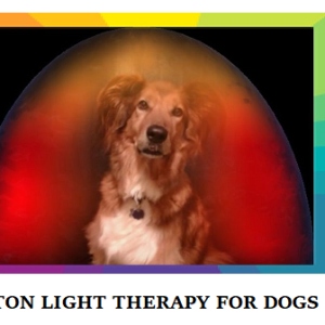 4 Photon Light Therapy for Dogs